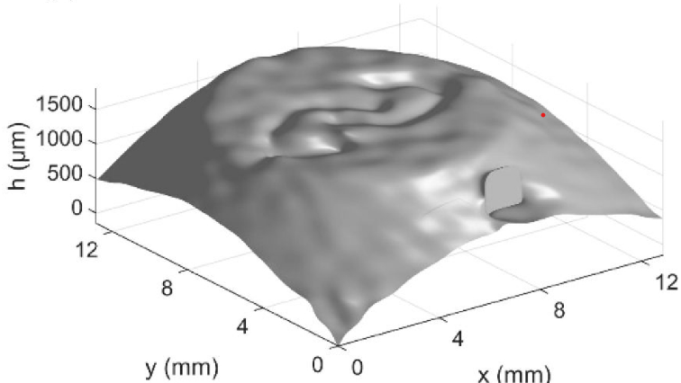 Single-shot digital phase-shifting Moiré patterns for 3D topography