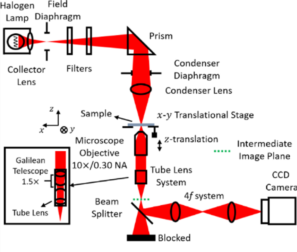 Non-recursive transport of intensity phase retrieval with the transport of phase